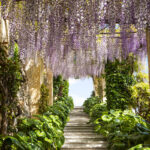 Giardini Villa Pergola Alassio