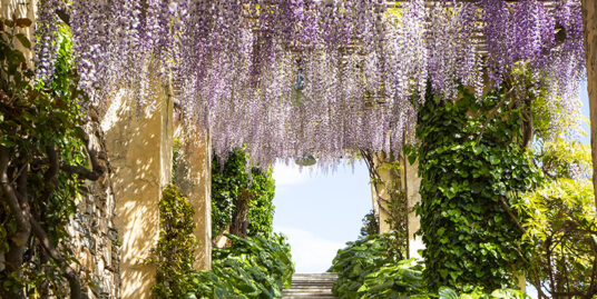 Giardini Villa Pergola Alassio