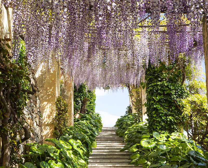 Giardini Villa Pergola Alassio